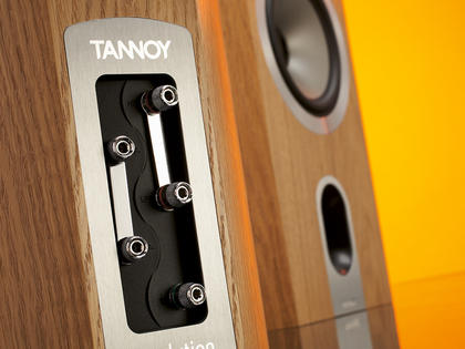 tannoy-revolution-signature-dc6