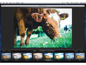 Adobe Carousel rebranded to 'Revel'