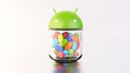 Samsung rolling out Jelly Bean for Galaxy S3, Note 10.1 'very soon'
