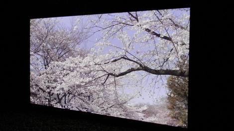 Panasonic dropping TVs for iPad screens?