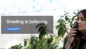 Tech companies go April Fools' Day crazy and Google loses it completely