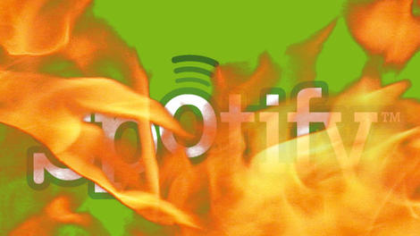 Spotify's pricing scorched by music streaming startup