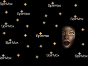SpinVox responds to BBC allegations