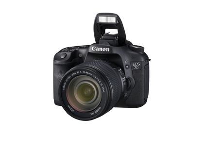 Best canon cameras 2012