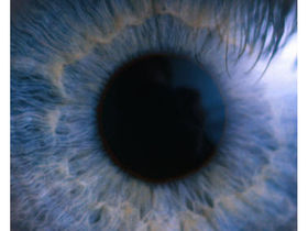 Electrical eyeballs controlling our gadgets