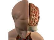 Hitachi develops brain interface to control your TV