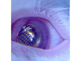 Virtual display beamed direct to your eyeball